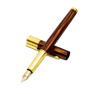 Vintage Fountain Pen